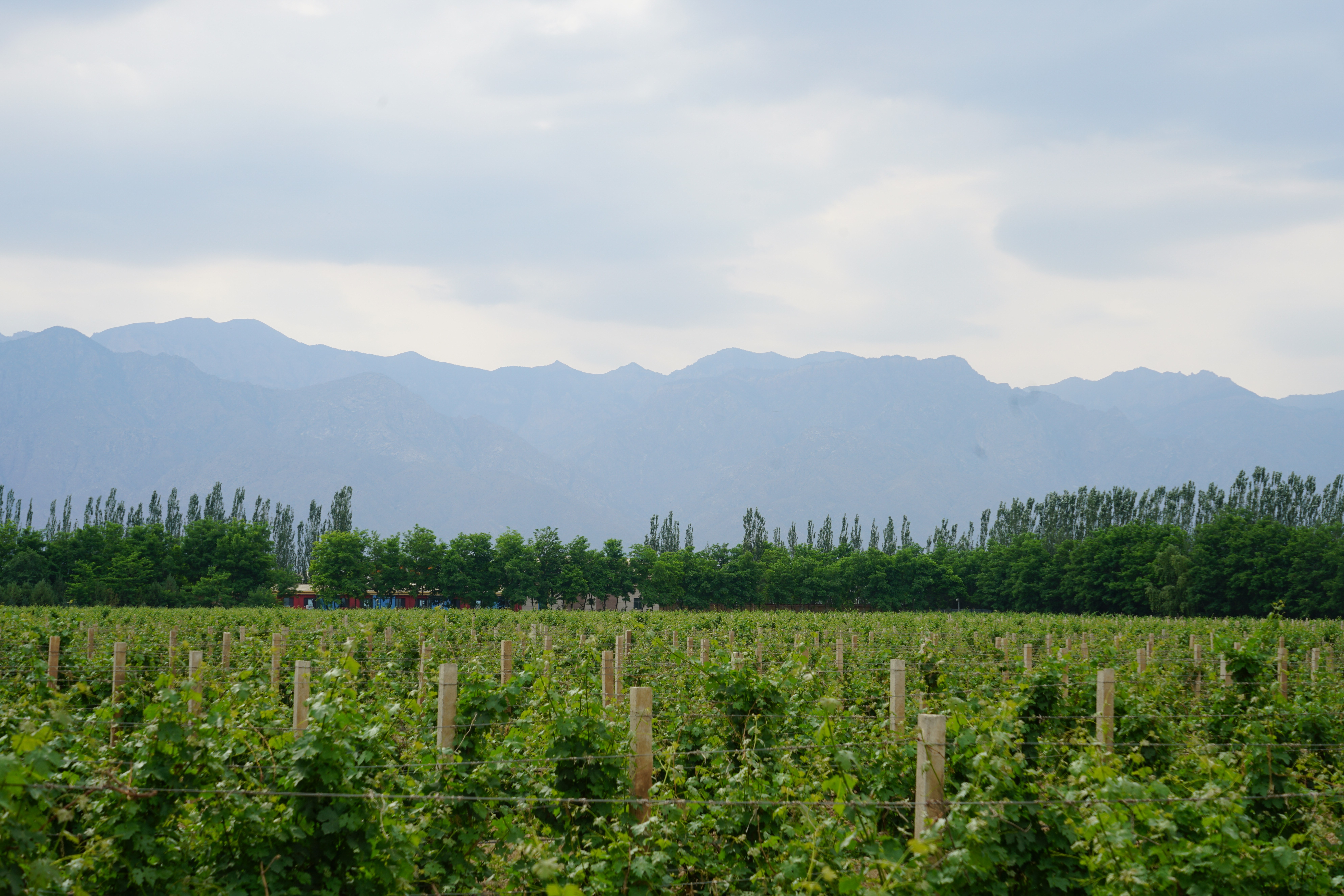 ANW Liquor Official Website