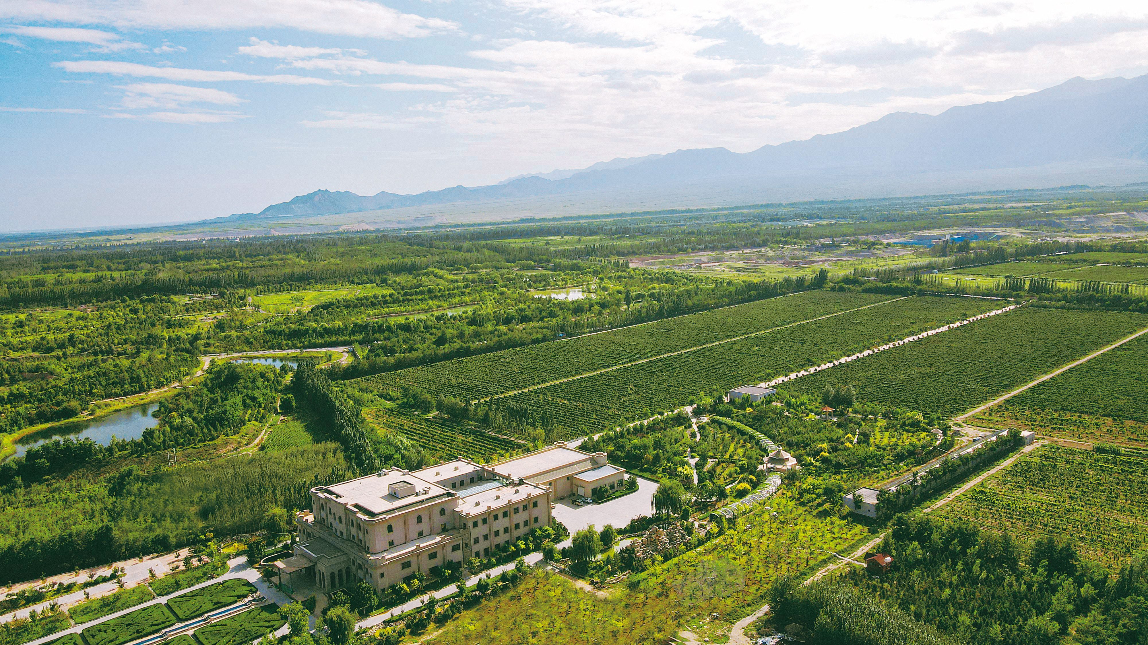 ANW Liquor Official Website