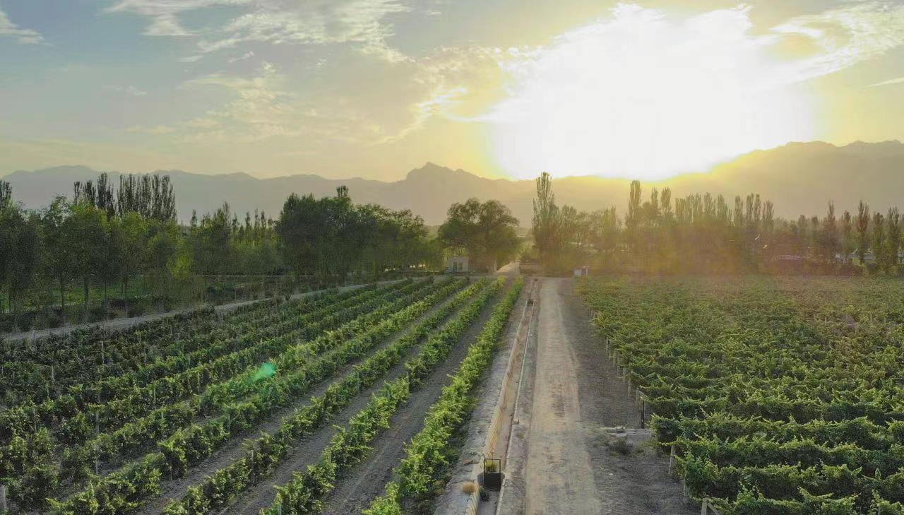 ANW Liquor Official Website