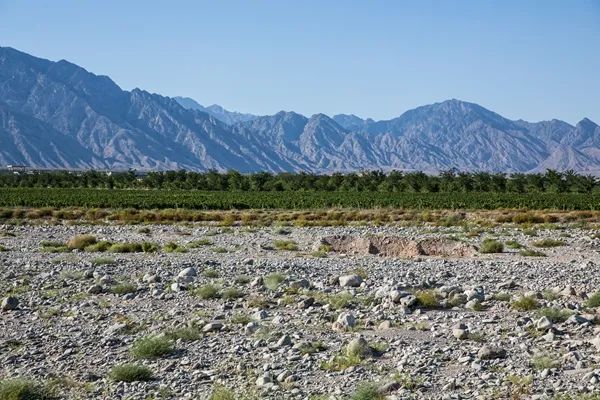 ANW Liquor Official Website