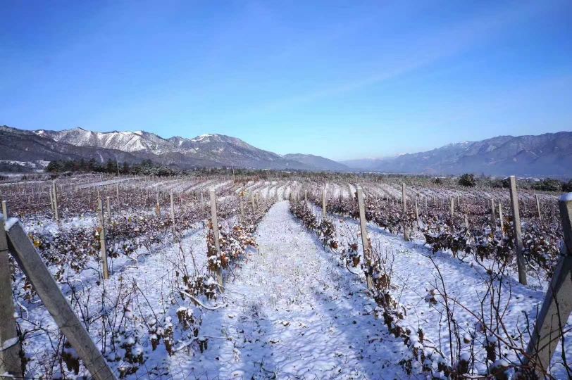 ANW Liquor Official Website