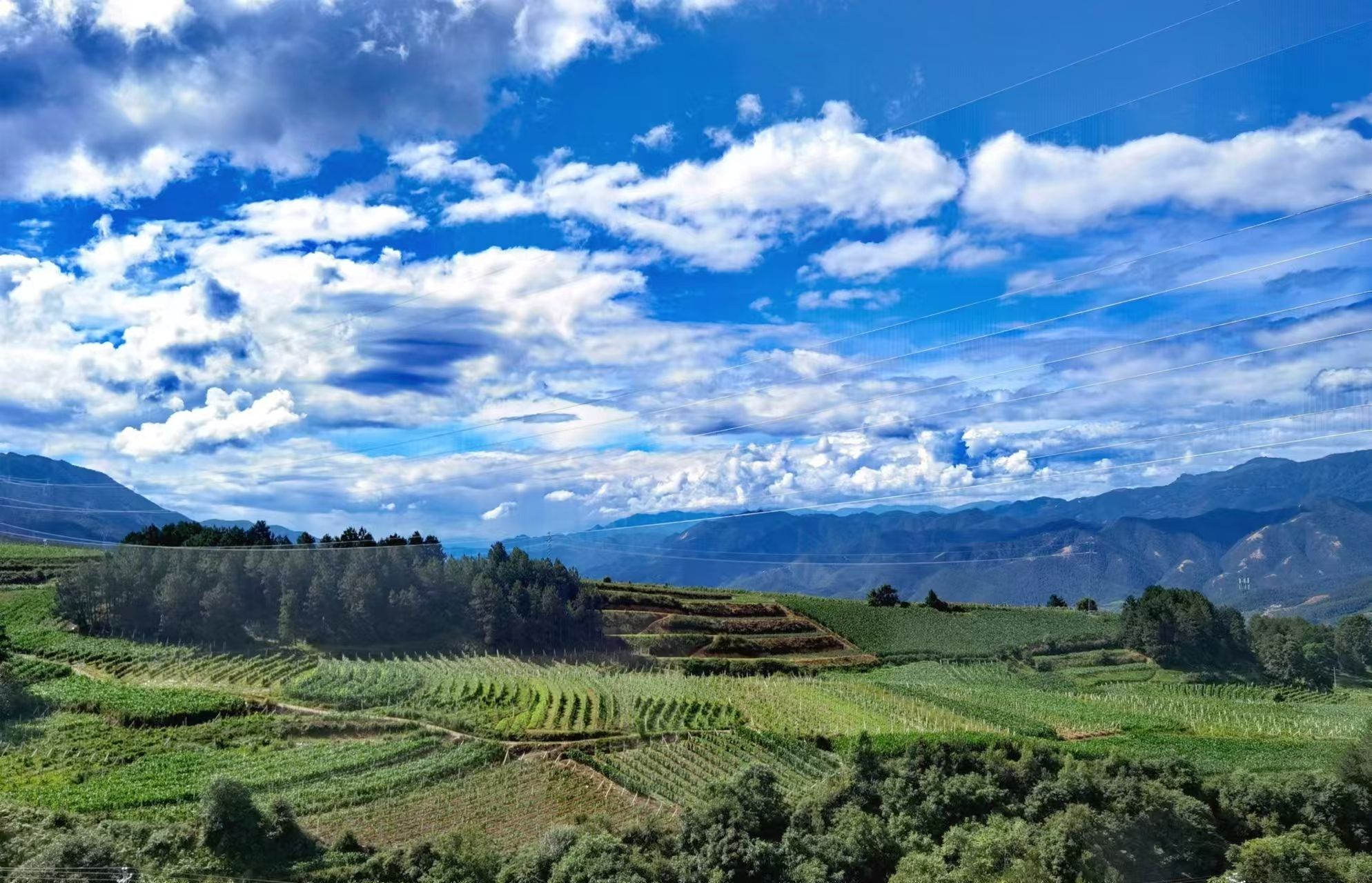 ANW Liquor Official Website